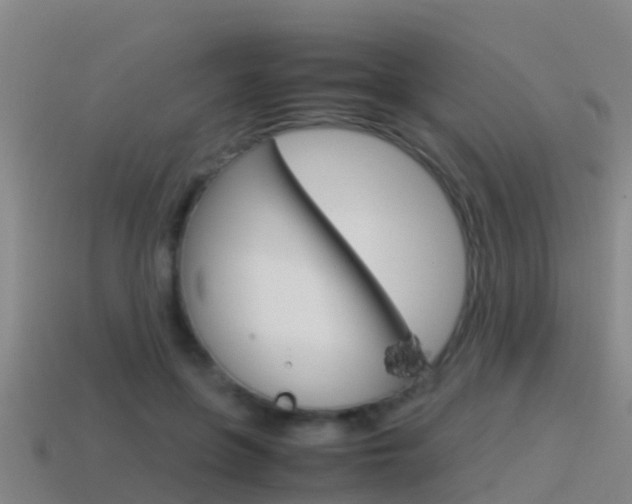 X0000115500551200911061024