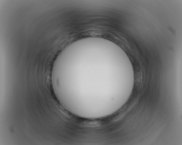 X0000115500553200911061024