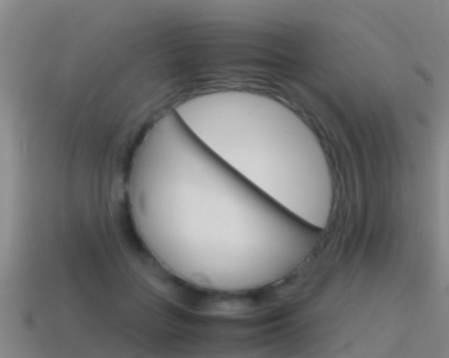 X0000115500555200911061024