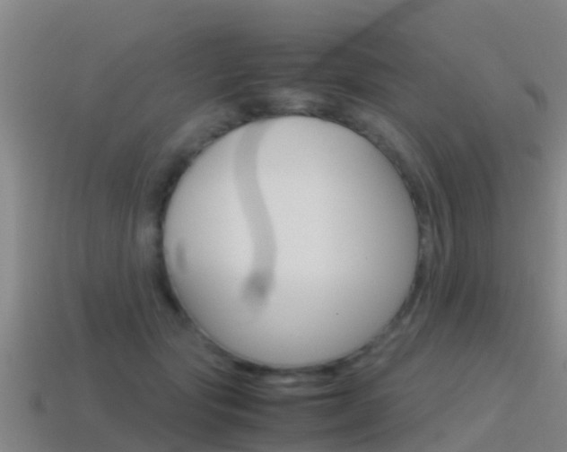 X0000115500557200911061024