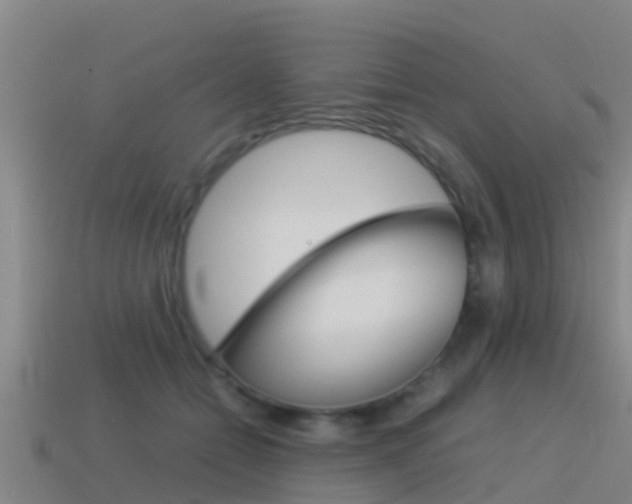 X0000115500558200911061024