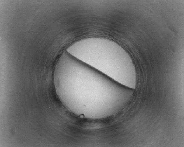 X0000115500559200911061024