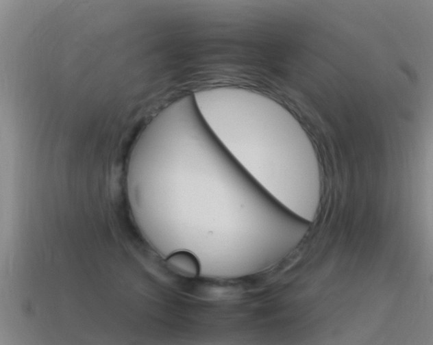 X0000115500563200911061024