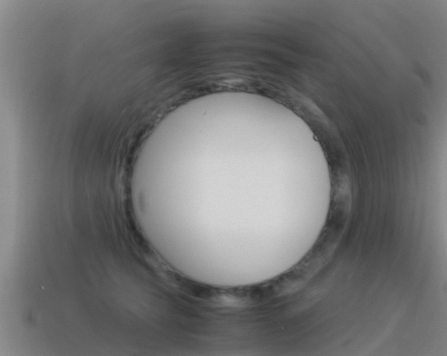 X0000115500565200911061024