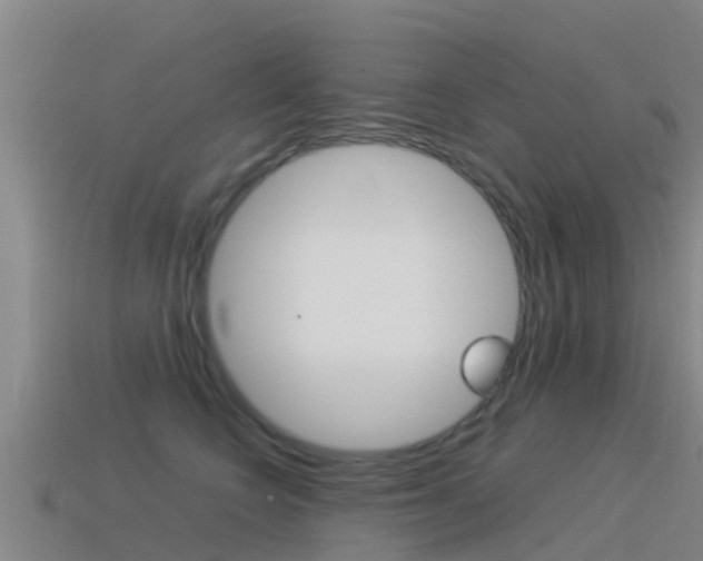 X0000115500566200911061024