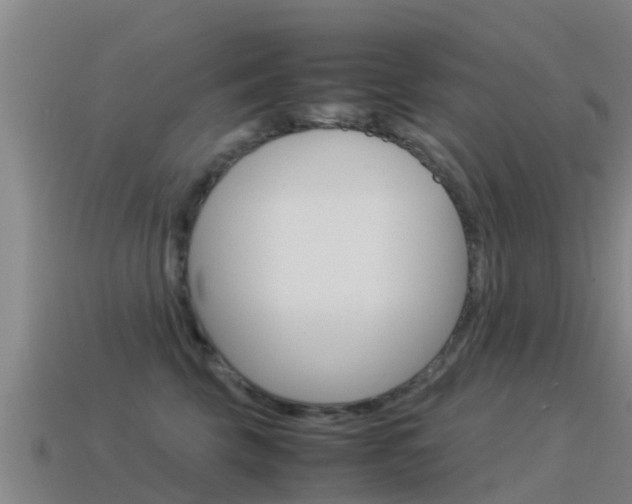 X0000115500569200911061025