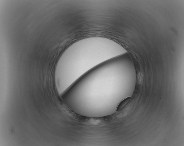 X0000115500570200911061025