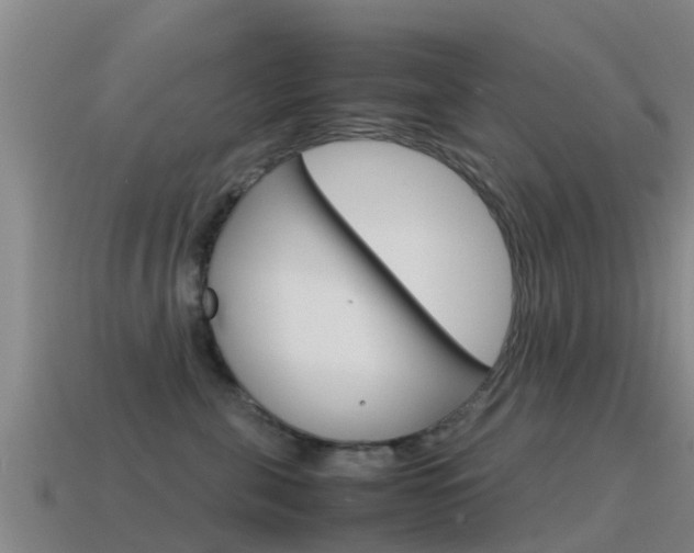 X0000115500571200911061025