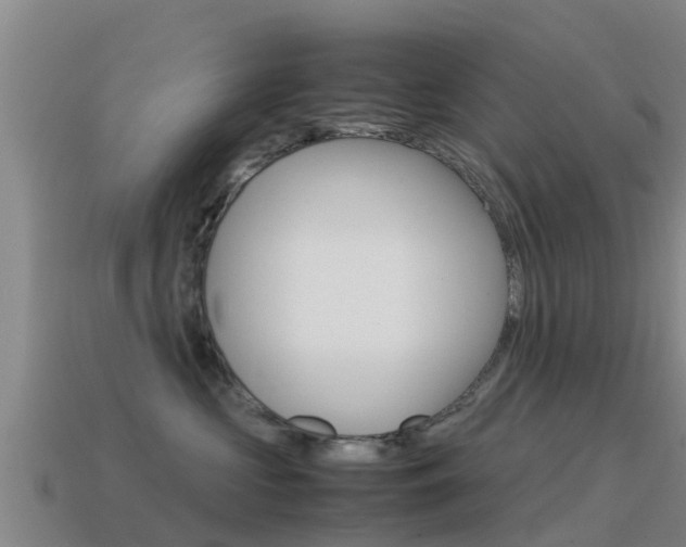 X0000115500573200911061025