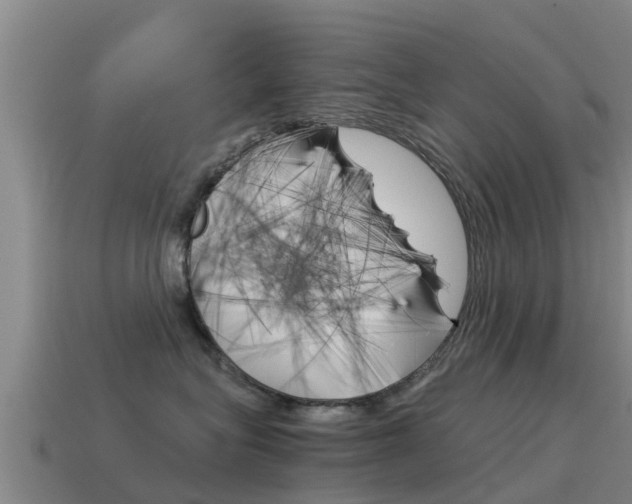 X0000115500575200911061025