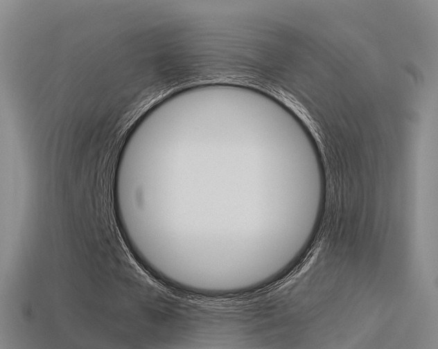 X0000115500577200911061024