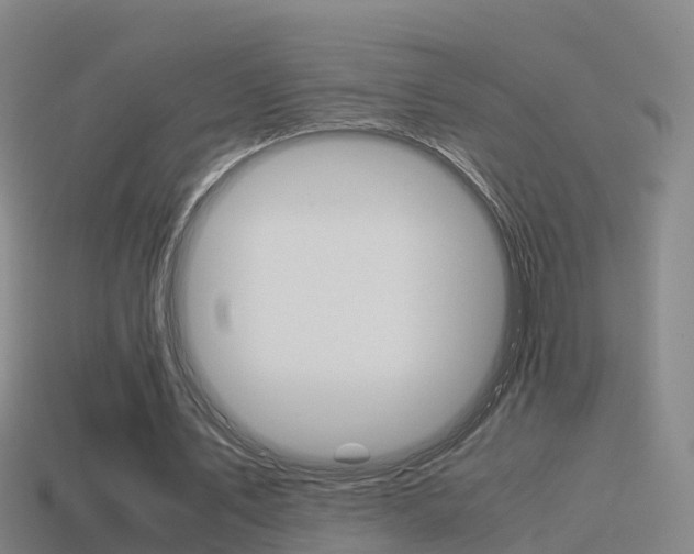 X0000115500579200911061024