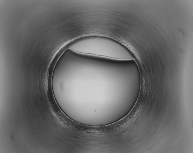 X0000115500580200911061024