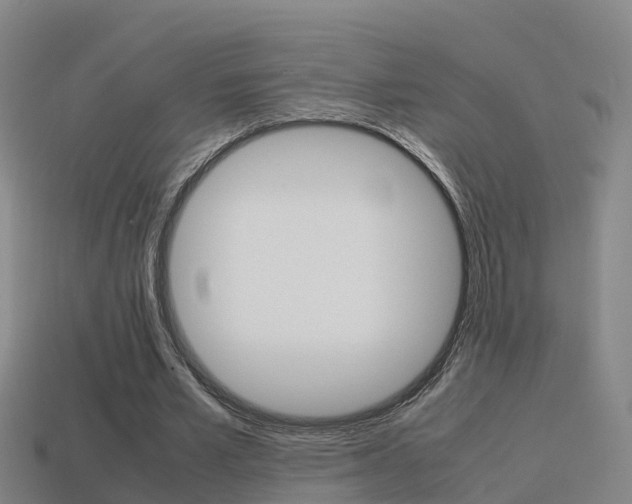 X0000115500581200911061024