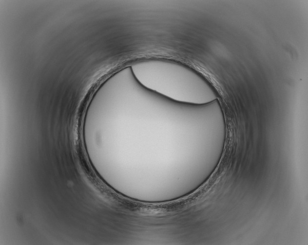 X0000115500582200911061024
