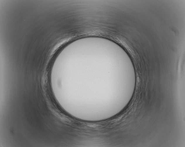 X0000115500583200911061024