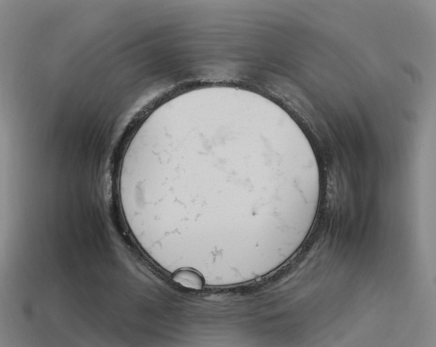 X0000115500584200911061024
