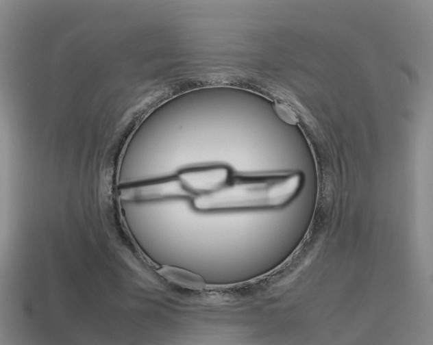X0000115500585200911061024