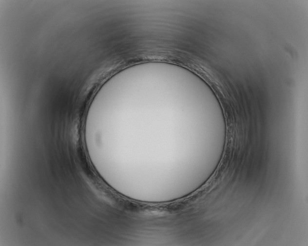 X0000115500586200911061024