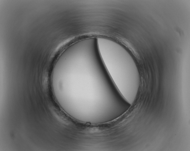 X0000115500588200911061024