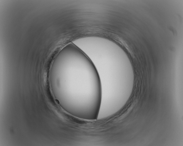 X0000115500589200911061024