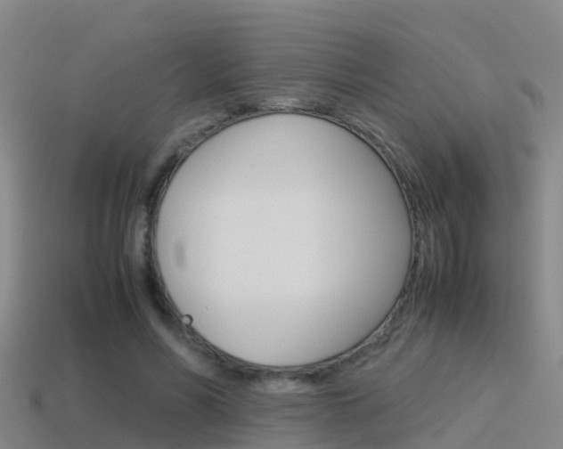 X0000115500590200911061024