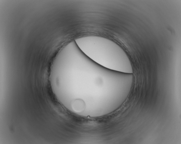 X0000115500594200911061024