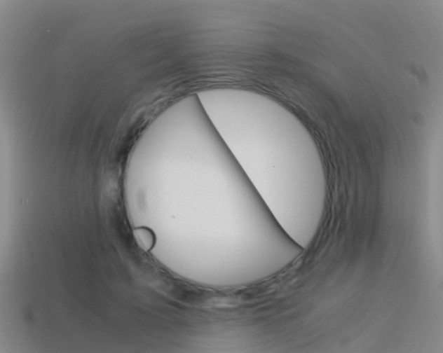 X0000115500595200911061024