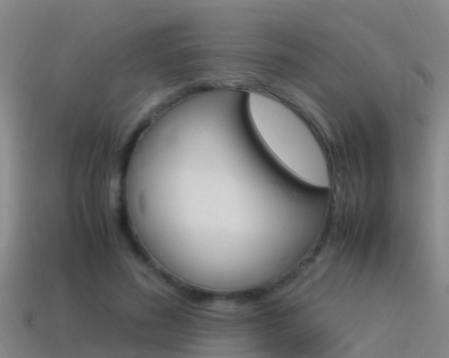 X0000115500596200911061024