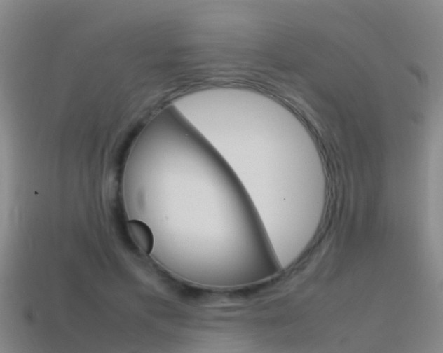 X0000115500597200911061024