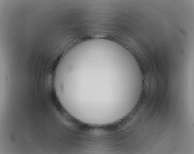 X0000115500598200911061024