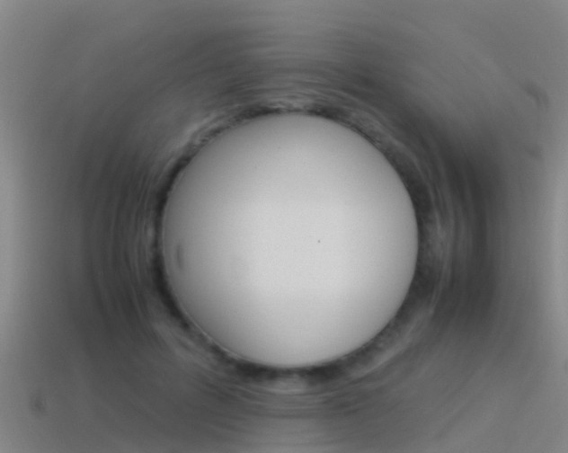 X0000115500600200911061024