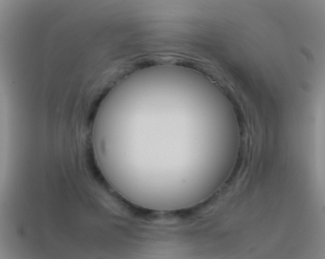 X0000115500601200911061024