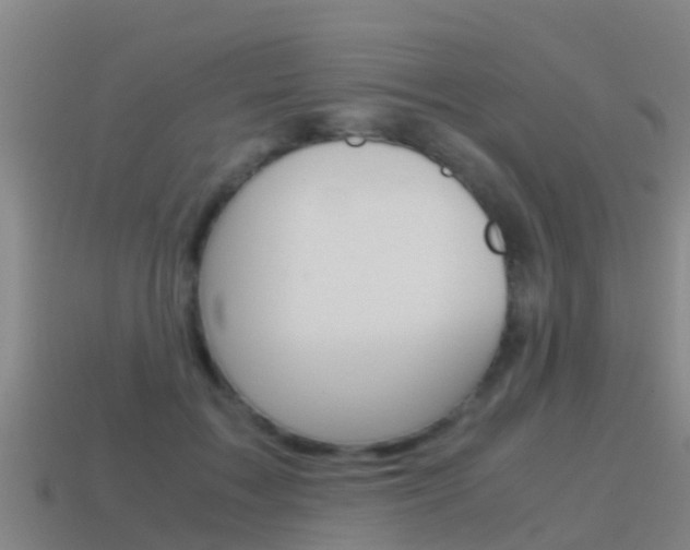 X0000115500603200911061024