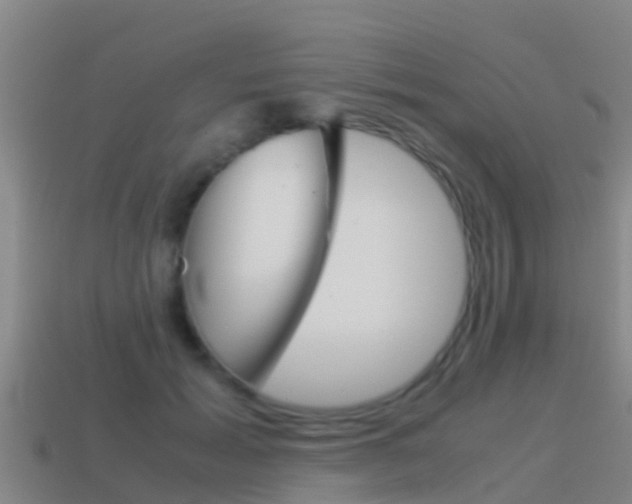 X0000115500605200911061024