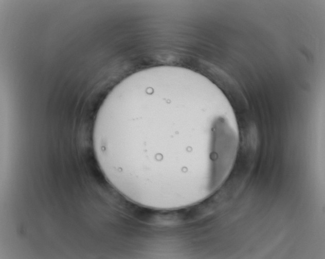 X0000115500606200911061024