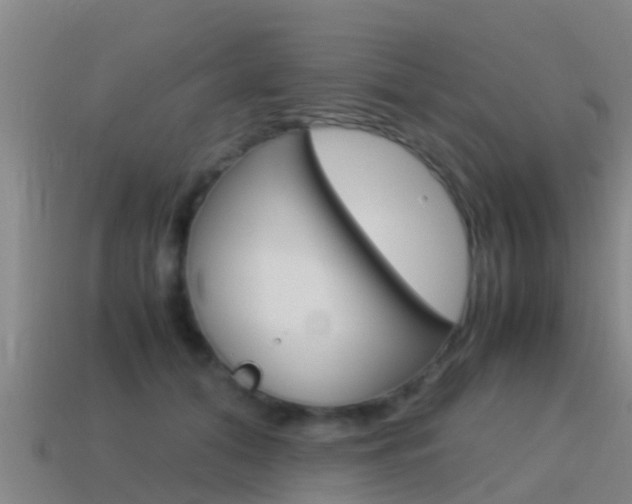 X0000115500608200911061024