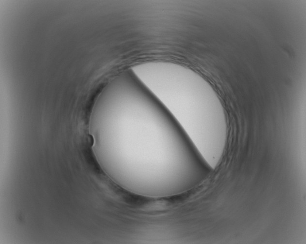 X0000115500609200911061024