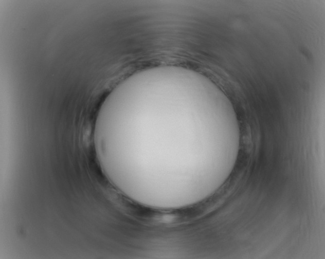 X0000115500610200911061024