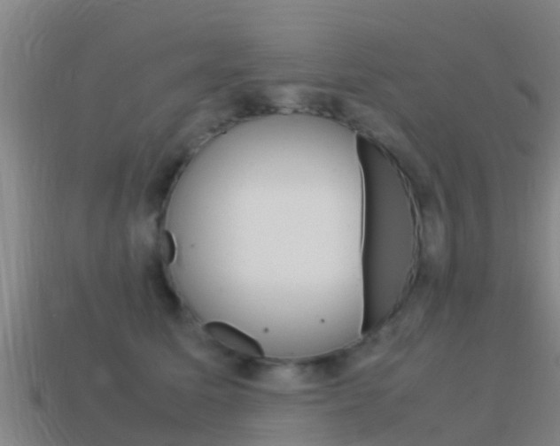 X0000115500611200911061024