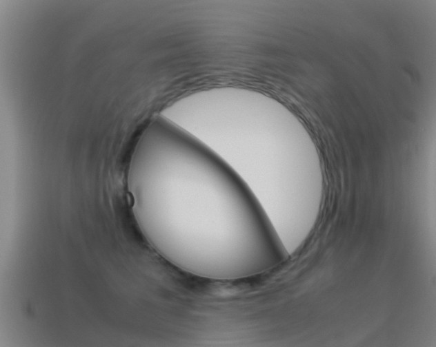 X0000115500613200911061024