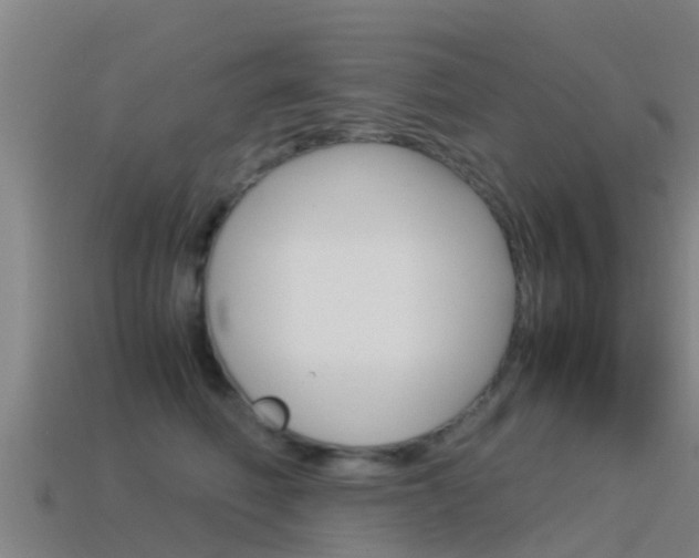 X0000115500614200911061024