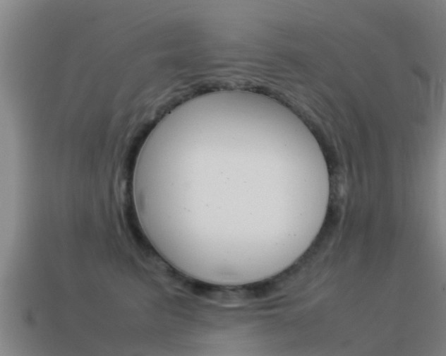 X0000115500615200911061024