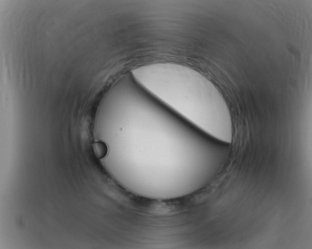 X0000115500616200911061024