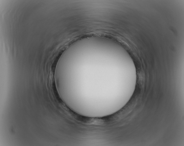 X0000115500617200911061024