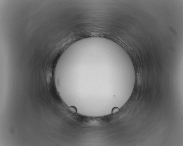 X0000115500618200911061023