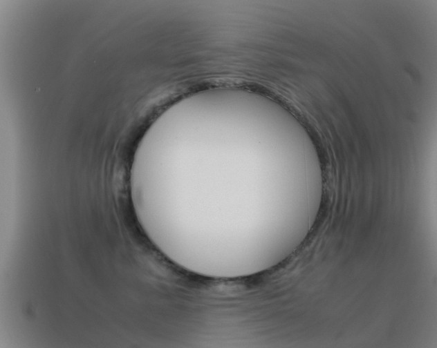 X0000115500619200911061023