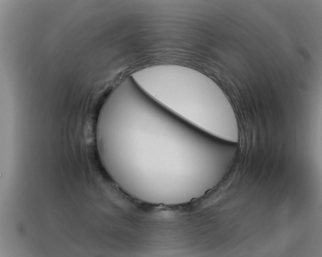 X0000115500620200911061023