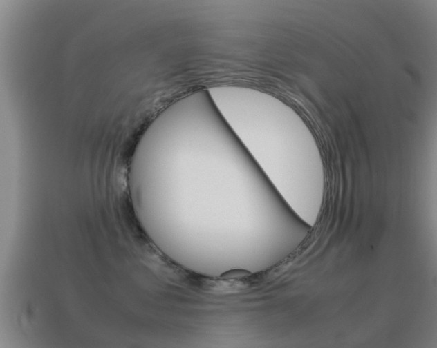 X0000115500621200911061023