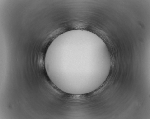 X0000115500622200911061023